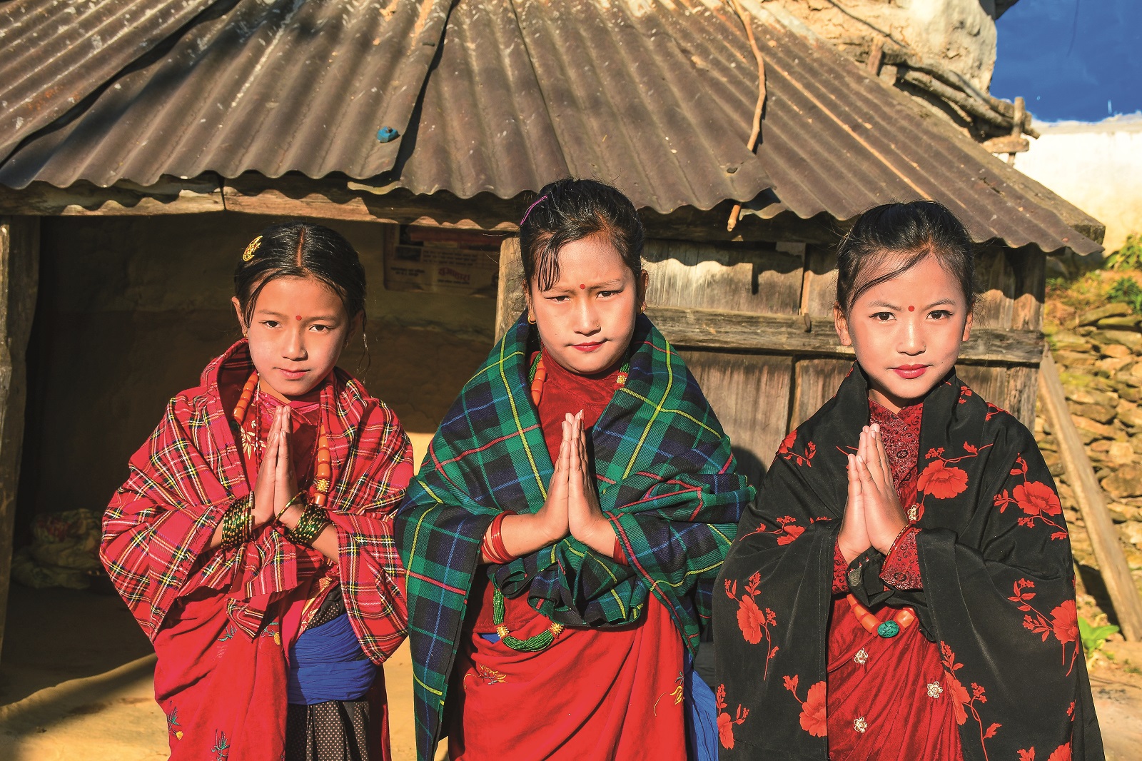 Homestays and Hotels